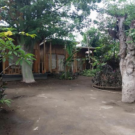 Beach Box Bungalow Gili Trawangan Extérieur photo