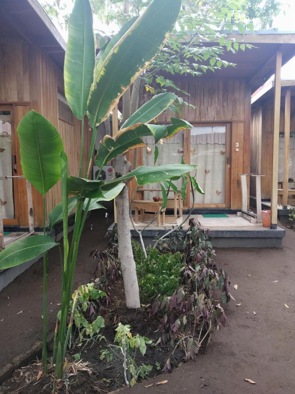 Beach Box Bungalow Gili Trawangan Extérieur photo